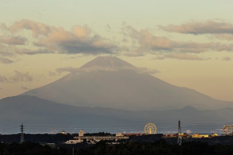 JP24_ls_MISC_00654