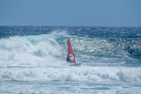 Photo: Scott Bauer
