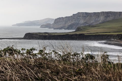 K-Bay