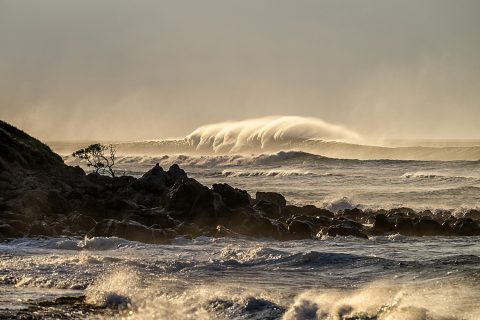 The north shore of Maui