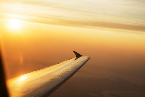 Travel the world