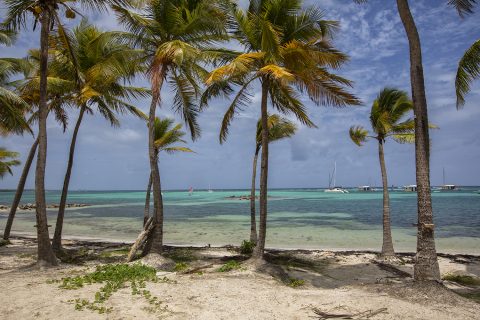 Beautiful Guadeloupe
