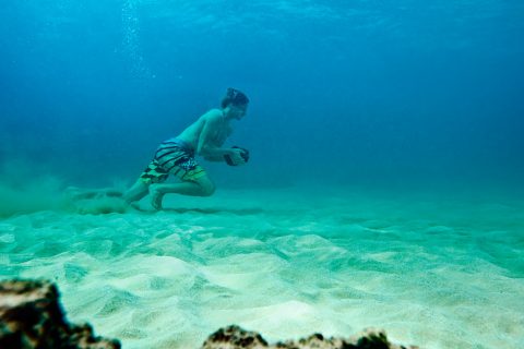 Flo underwater training