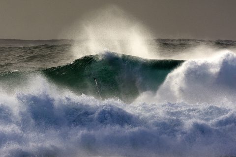 The wrong forecast...wild and stormy!